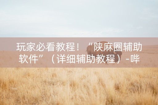 玩家必看教程！“陕麻圈辅助软件”（详细辅助教程）-哔哩哔哩