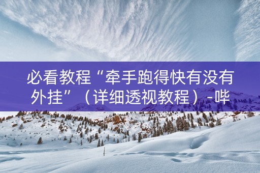 必看教程“牵手跑得快有没有外挂”（详细透视教程）-哔哩哔哩