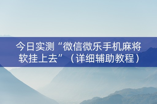 今日实测“微信微乐手机麻将软挂上去”（详细辅助教程）-哔哩哔哩