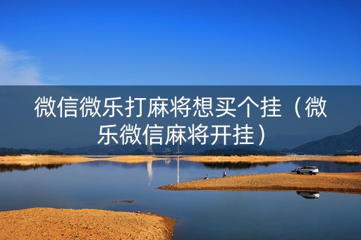 微信微乐打麻将想买个挂（微乐微信麻将开挂）