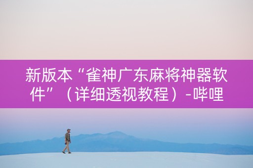 新版本“雀神广东麻将神器软件”（详细透视教程）-哔哩哔哩