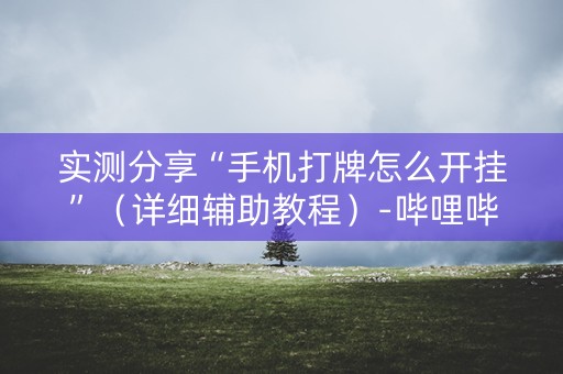 实测分享“手机打牌怎么开挂”（详细辅助教程）-哔哩哔哩