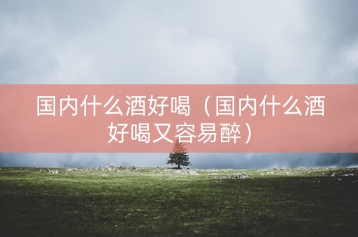 国内什么酒好喝（国内什么酒好喝又容易醉）