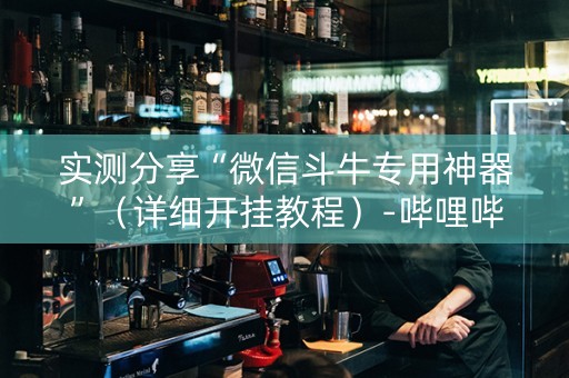 实测分享“微信斗牛专用神器”（详细开挂教程）-哔哩哔哩