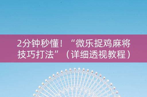 2分钟秒懂！“微乐捉鸡麻将技巧打法”（详细透视教程）-哔哩哔哩