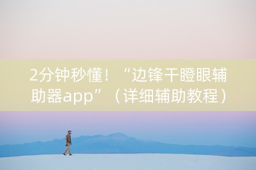 2分钟秒懂！“边锋干瞪眼辅助器app”（详细辅助教程）-哔哩哔哩