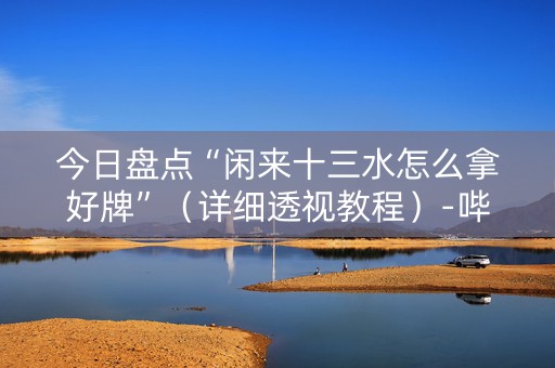 今日盘点“闲来十三水怎么拿好牌”（详细透视教程）-哔哩哔哩