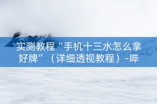 实测教程“手机十三水怎么拿好牌”（详细透视教程）-哔哩哔哩