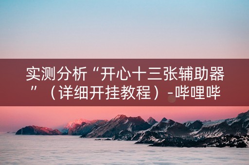 实测分析“开心十三张辅助器”（详细开挂教程）-哔哩哔哩