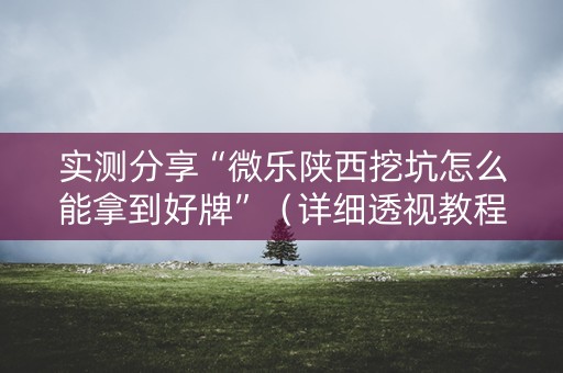 实测分享“微乐陕西挖坑怎么能拿到好牌”（详细透视教程）-哔哩哔哩