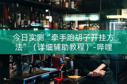 今日实测“牵手跑胡子开挂方法”（详细辅助教程）-哔哩哔哩