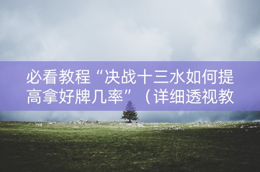 必看教程“决战十三水如何提高拿好牌几率”（详细透视教程）-哔哩哔哩