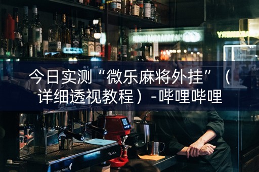 今日实测“微乐麻将外挂”（详细透视教程）-哔哩哔哩