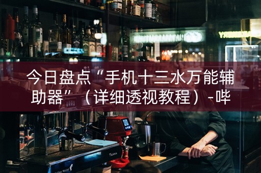 今日盘点“手机十三水万能辅助器”（详细透视教程）-哔哩哔哩