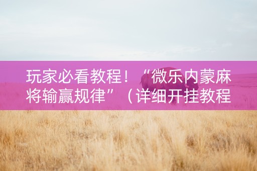 玩家必看教程！“微乐内蒙麻将输赢规律”（详细开挂教程）-哔哩哔哩
