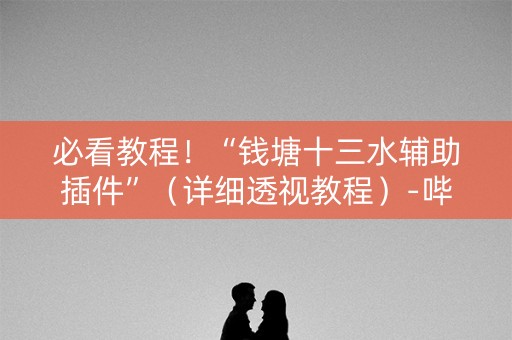 必看教程！“钱塘十三水辅助插件”（详细透视教程）-哔哩哔哩