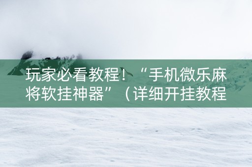 玩家必看教程！“手机微乐麻将软挂神器”（详细开挂教程）-哔哩哔哩