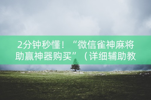 2分钟秒懂！“微信雀神麻将助赢神器购买”（详细辅助教程）-哔哩哔哩