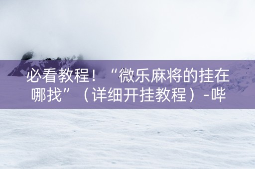 必看教程！“微乐麻将的挂在哪找”（详细开挂教程）-哔哩哔哩