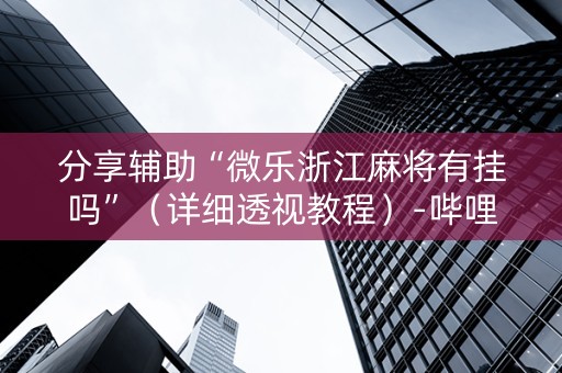 分享辅助“微乐浙江麻将有挂吗”（详细透视教程）-哔哩哔哩