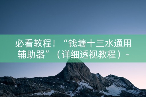 必看教程！“钱塘十三水通用辅助器”（详细透视教程）-哔哩哔哩
