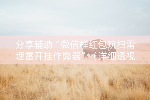 分享辅助“微信群红包玩扫雷埋雷开挂作弊器”（详细透视教程）-哔哩哔哩