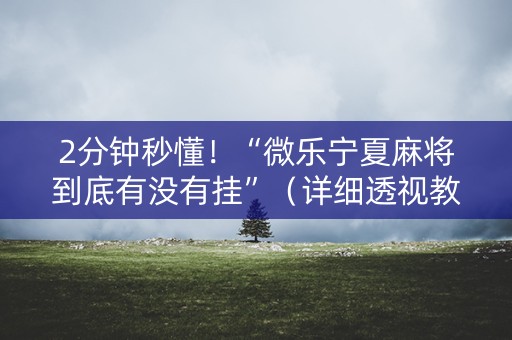 2分钟秒懂！“微乐宁夏麻将到底有没有挂”（详细透视教程）-哔哩哔哩