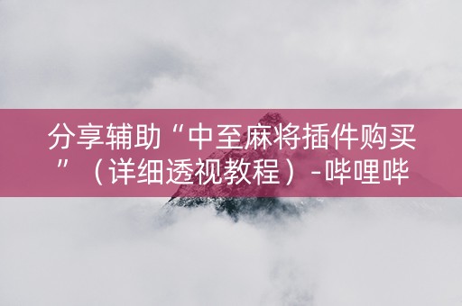 分享辅助“中至麻将插件购买”（详细透视教程）-哔哩哔哩