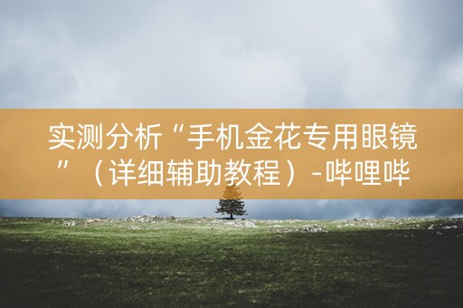 实测分析“手机金花专用眼镜”（详细辅助教程）-哔哩哔哩