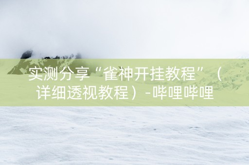 实测分享“雀神开挂教程”（详细透视教程）-哔哩哔哩
