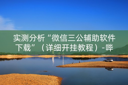 实测分析“微信三公辅助软件下载”（详细开挂教程）-哔哩哔哩