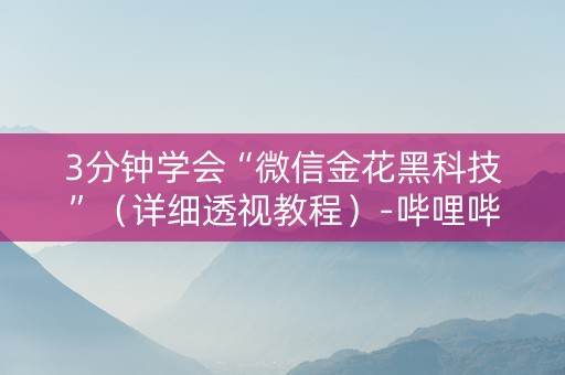 3分钟学会“微信金花黑科技”（详细透视教程）-哔哩哔哩