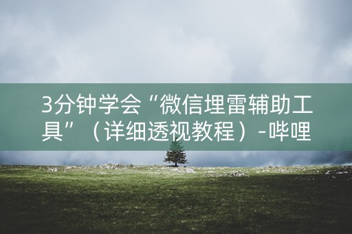 3分钟学会“微信埋雷辅助工具”（详细透视教程）-哔哩哔哩