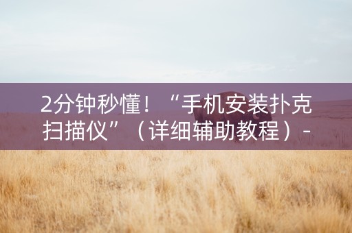 2分钟秒懂！“手机安装扑克扫描仪”（详细辅助教程）-哔哩哔哩