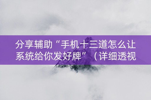 分享辅助“手机十三道怎么让系统给你发好牌”（详细透视教程）-哔哩哔哩