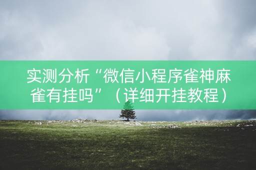 实测分析“微信小程序雀神麻雀有挂吗”（详细开挂教程）-哔哩哔哩