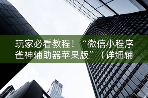 玩家必看教程！“微信小程序雀神辅助器苹果版”（详细辅助教程）-哔哩哔哩