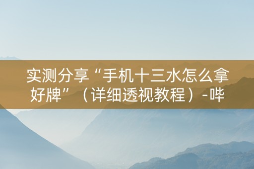 实测分享“手机十三水怎么拿好牌”（详细透视教程）-哔哩哔哩