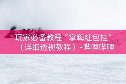 玩家必备教程“掌嗨红包挂”（详细透视教程）-哔哩哔哩