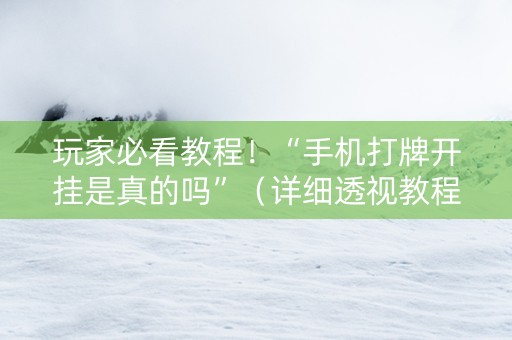 玩家必看教程！“手机打牌开挂是真的吗”（详细透视教程）-哔哩哔哩