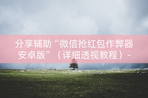 分享辅助“微信抢红包作弊器安卓版”（详细透视教程）-哔哩哔哩