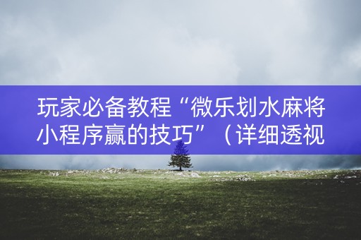 玩家必备教程“微乐划水麻将小程序赢的技巧”（详细透视教程）-哔哩哔哩