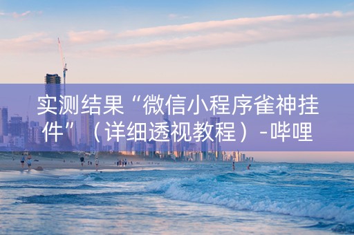 实测结果“微信小程序雀神挂件”（详细透视教程）-哔哩哔哩