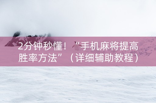 2分钟秒懂！“手机麻将提高胜率方法”（详细辅助教程）-哔哩哔哩