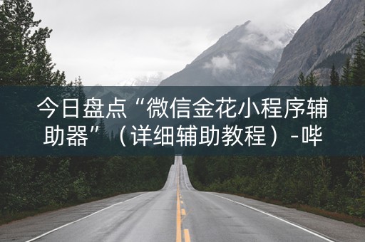 今日盘点“微信金花小程序辅助器”（详细辅助教程）-哔哩哔哩