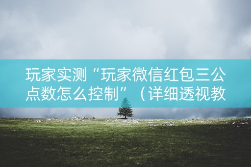 玩家实测“玩家微信红包三公点数怎么控制”（详细透视教程）-哔哩哔哩