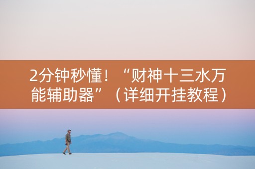 2分钟秒懂！“财神十三水万能辅助器”（详细开挂教程）-哔哩哔哩