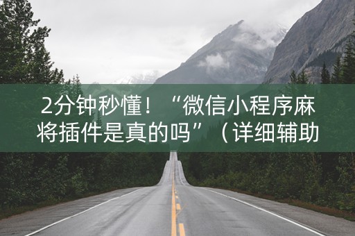 2分钟秒懂！“微信小程序麻将插件是真的吗”（详细辅助教程）-哔哩哔哩