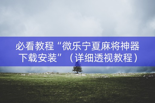 必看教程“微乐宁夏麻将神器下载安装”（详细透视教程）-哔哩哔哩