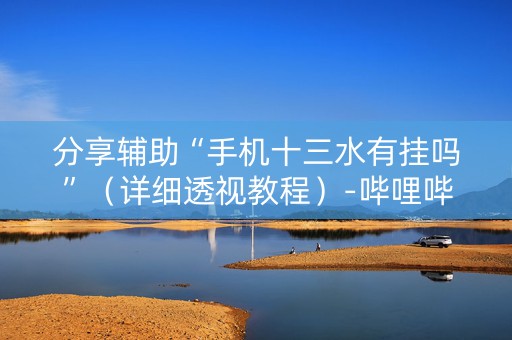 分享辅助“手机十三水有挂吗”（详细透视教程）-哔哩哔哩